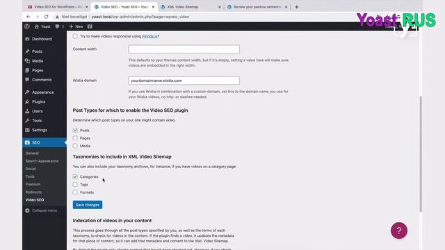 Как настроить плагин Video Yoast SEO? смотреть онлайн