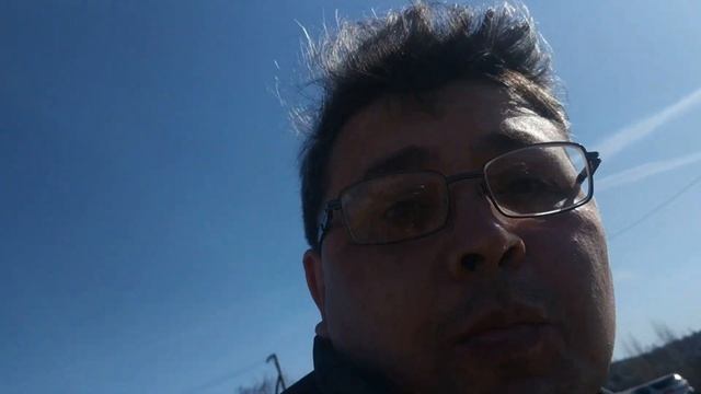 Дикая черепаха на Урале смотреть онлайн