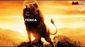 ЛЕВ - TENCA / Я Царь зверей