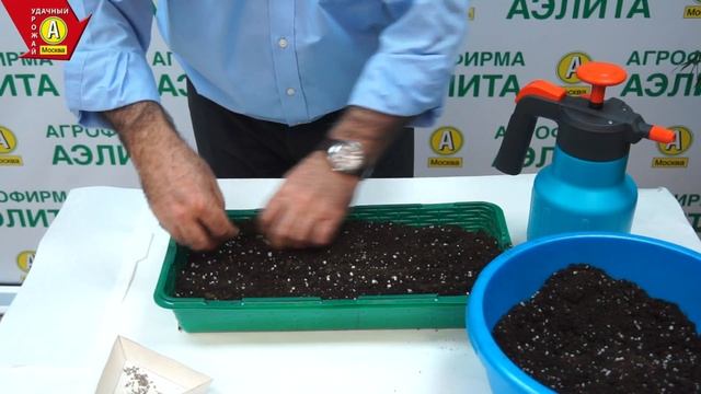 Подготовка и посев семян Виолы смотреть онлайн