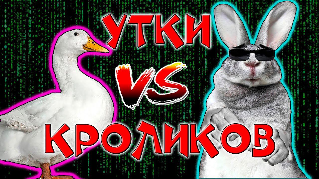 Утки или кролики / Кто круче? смотреть онлайн