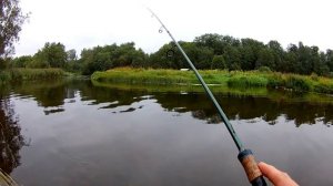 Хариус - Ленинградская область.