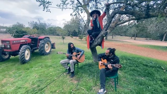 Róisín Murphy Live @ Home In Ibiza – Murphy's Law