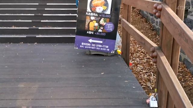 Namsan Seoul Tower: The Beautiful Hike