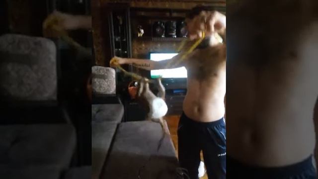 Обезьянка занимается спортом смотреть онлайн