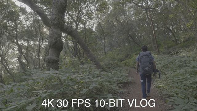Panasonic Lumix S5: Superb Mirrorless Camera! смотреть онлайн