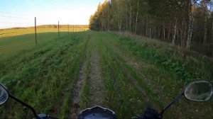 ПОКАТУШКА НА МОПЕДЕ АЛЬФА V 125 на ЗАКАТЕ