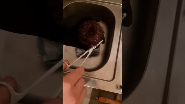 Открываем дома морского ежа смотреть онлайн