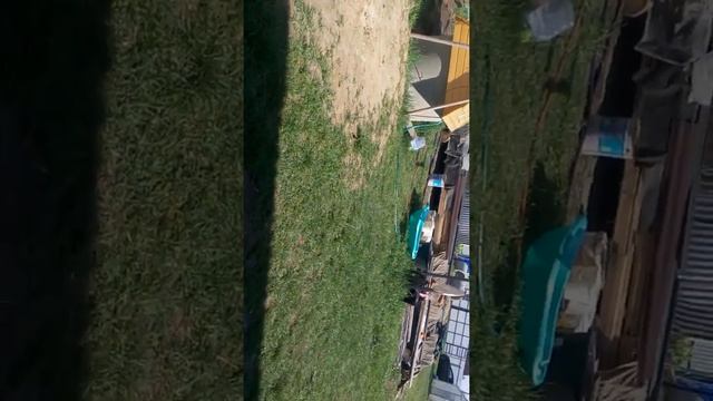 дача6 смотреть онлайн