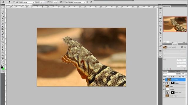 Merging two animals together using Photoshop смотреть онлайн