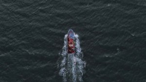 О, Море, Море