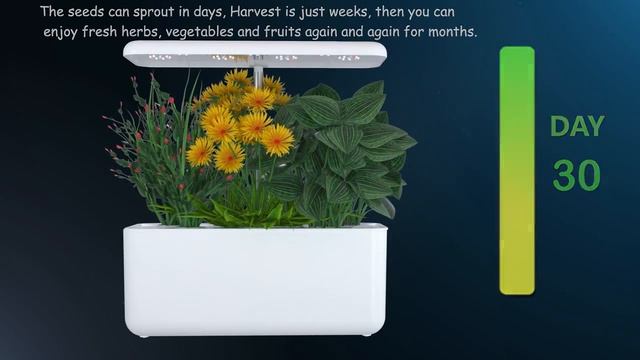 Интеллектуальное гидропонное оборудование для выращивания растений смотреть онлайн