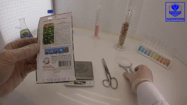 Огурец Китайский Плестистый. СеДеК смотреть онлайн