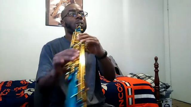 1988 Selmer Mark VI Soprano Sax (Serial no. 78xxx) by Steve Rogers смотреть онлайн