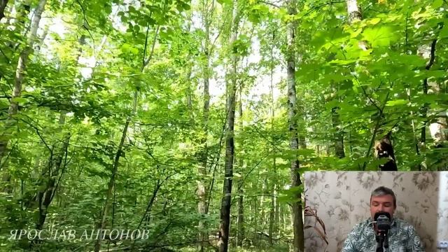 Изнанка судьбы. Ярослав Антонов