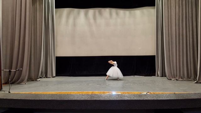 Умирающий лебедь. Памяти Майи Плисецкой. Исполняет Вера Добровольските. Хореограф Эрна Брезинова смотреть онлайн