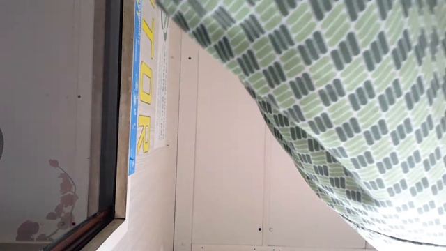 Как попасть в Польшу и где взять "злотый" на таможне смотреть онлайн