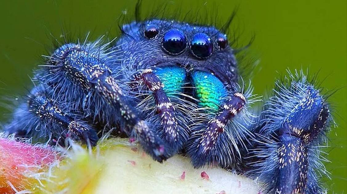 КТО УБИЛ АНТИХРИСТА??? 11.09.24. смотреть онлайн