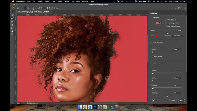 Refine Edge Brush Tool In Adobe Photoshop