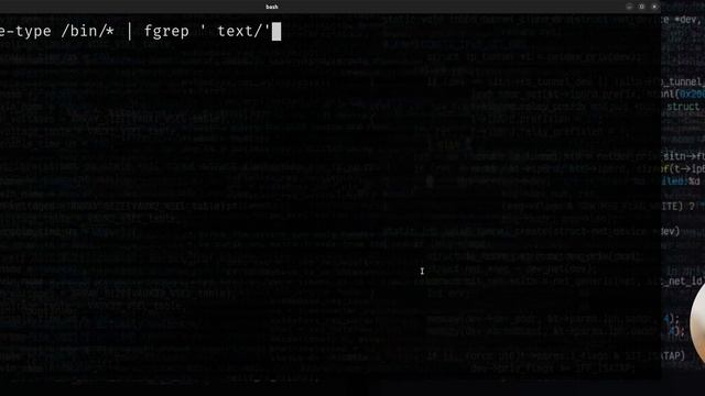 Linux command-line: Identify file types irrespective of filenames and extensions смотреть онлайн