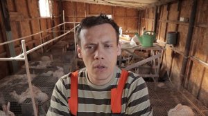 Разведение кроликов — выгодно или нет