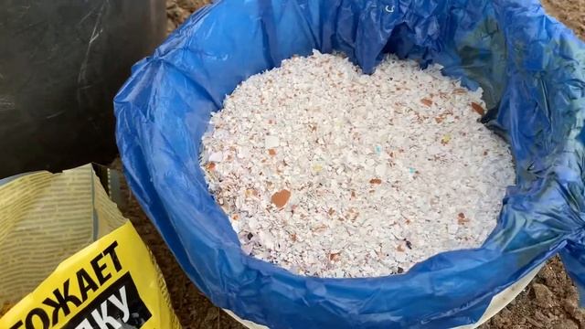 Новые грядки в теплице. Посадка томатов??????. Что добавляю в лунку! смотреть онлайн