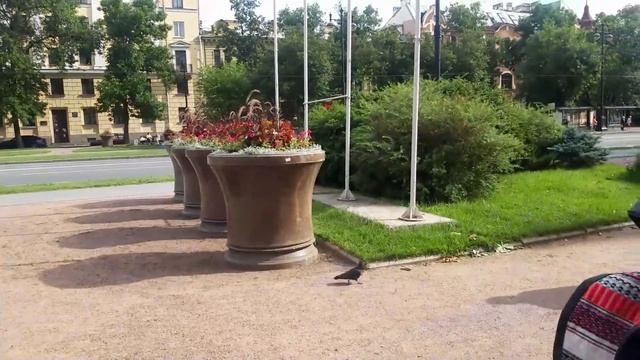 Васильевский остров - допетровский Питер. Ч.5 смотреть онлайн