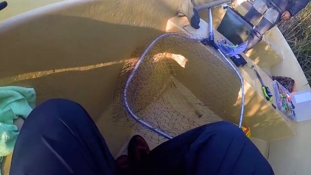 Ловля жереха на виброхвост Crazy Fish Vibro Worm смотреть онлайн