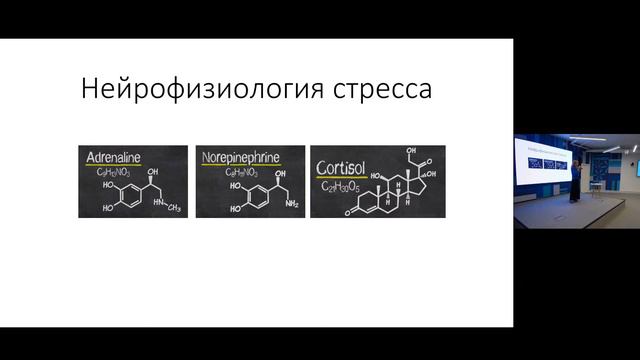 Гореть, но не выгорать: как успешно выстраивать карьеру, сохраняя баланс. Лекция от Нетологии смотреть онлайн