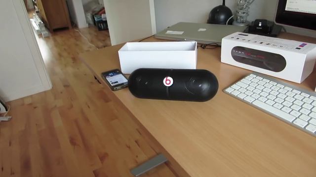 FAKE BEATS PILL XL (8.30.15 - Day 1763) смотреть онлайн