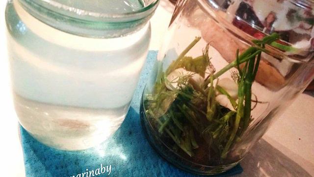 Книга рецептов