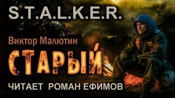 S.T.A.L.K.E.R. Старый (аудиокнига). БОЕВАЯ ФАНТАСТИКА. Виктор Малютин. Читает Роман Ефимов.