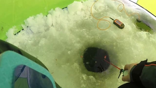 Десногорск. Зимняя рыбалка ?. смотреть онлайн