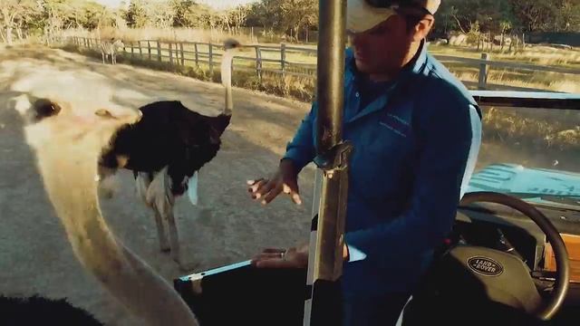 Ponderosa Adventure Park (Liberia, Costa Rica) смотреть онлайн