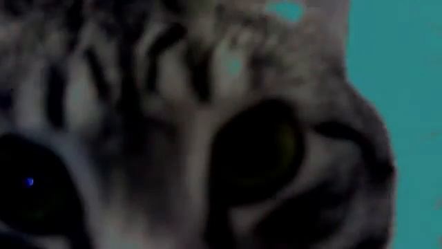 Видео с веб-камеры. Дата: 19 ноября 2012 г., 16:59.