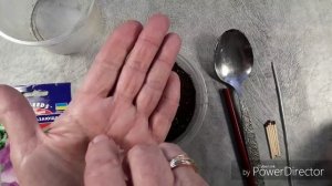 Посев на рассаду семян Азарины Лазающей. Seeding of Azarina Lazayusche's seeds