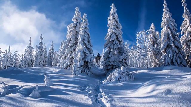Сказка зимнего леса. С. Чекалин смотреть онлайн