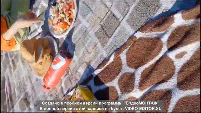 Мини-пикничок в честь получения водительских прав) смотреть онлайн