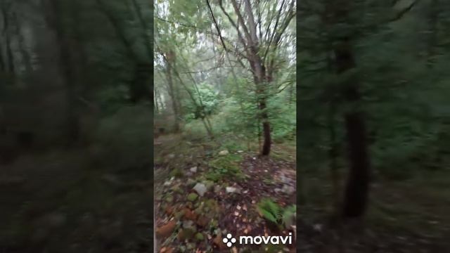 Сиреноголовый в заброшенном лагере. Ужас смотреть онлайн