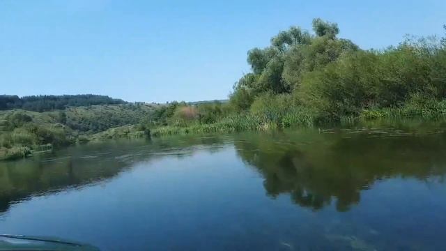 Летняя прогулка по Зуше . смотреть онлайн