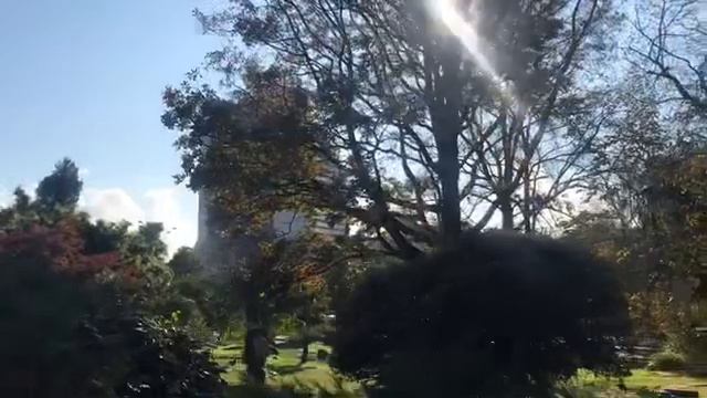 Центральные улочки Сочи♥️ Walk along the Central streets of Sochi смотреть онлайн