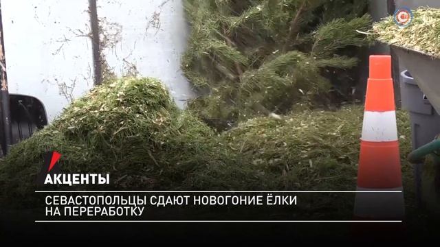 «Ёлковорот» продлится до 26 января смотреть онлайн