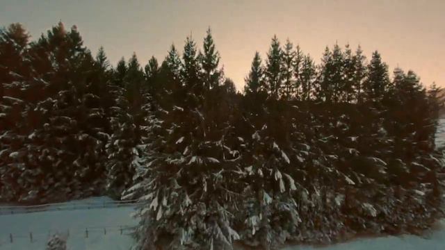 Christmas '85 - Wild Play (Official Music Video) смотреть онлайн