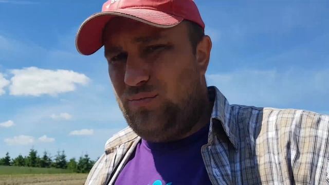 Спасают картошку от гибели // Буду брить ряды смотреть онлайн