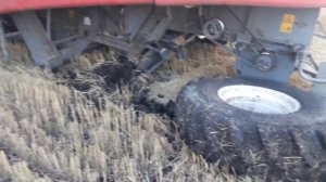 Отпало колесо на комбайне акрос 530