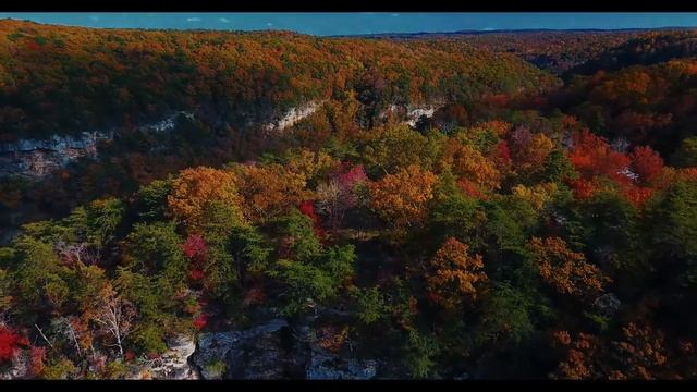 Спокойная Музыка для сна, медитации и снятия стресса. Music for meditation. Relax time смотреть онлайн
