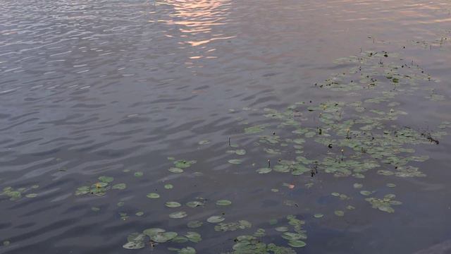 Водоотводной канал. Фонтан возле Болотной площади. смотреть онлайн