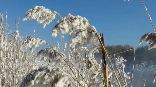 Белоснежная зима, красивая зимняя природа, beautiful winter смотреть онлайн