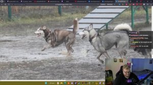 T2x2 ПОКАЗЫВАЕТ СМЕШНЫЕ ФОТОГРАФИИ ЛАКИ