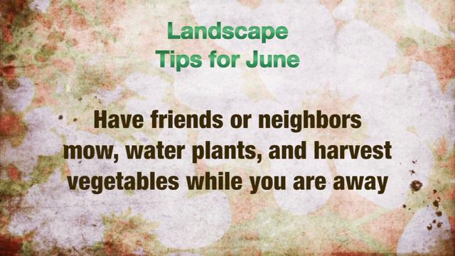 Horticulture Tips For June